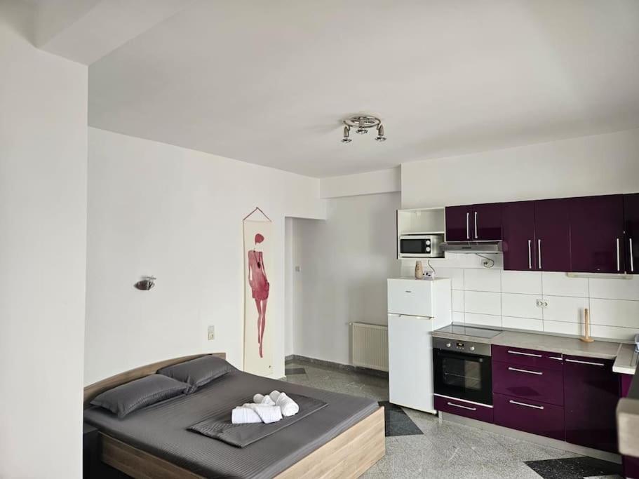 Nice Studio In The Heart Of City 布加勒斯特 外观 照片