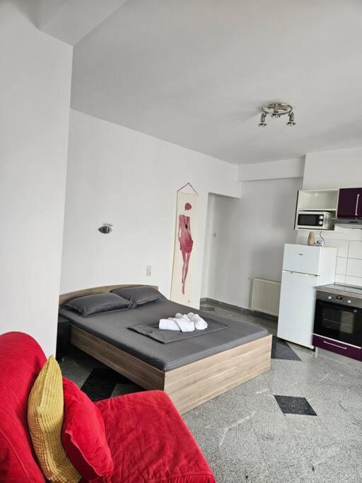 Nice Studio In The Heart Of City 布加勒斯特 外观 照片