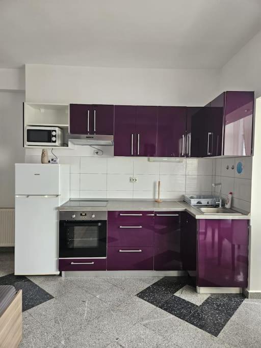 Nice Studio In The Heart Of City 布加勒斯特 外观 照片